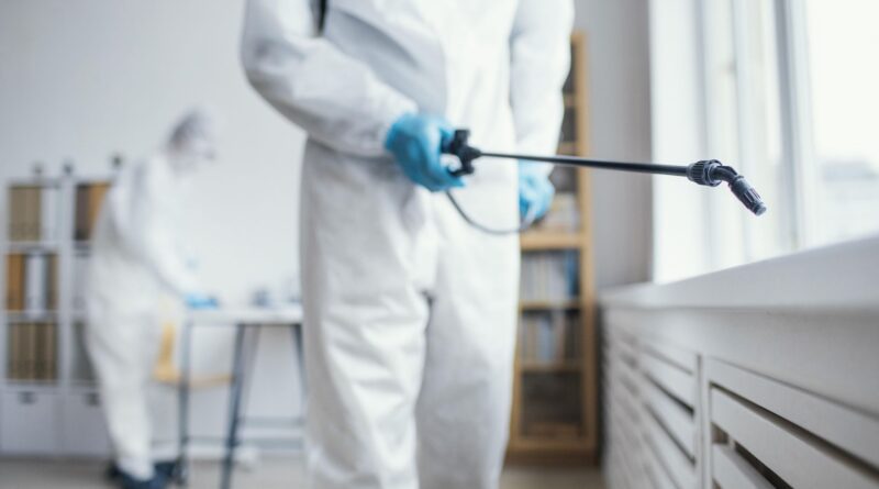 Dezinsectie Bucuresti Servicii DDD pulverizare Vermorel substante eliminare distrugere gandaci de bucatarie apartament vila casa bloc subsol Asociatie Proprietari