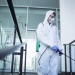 Servicii Dezinsectie Bucuresti Ilfov